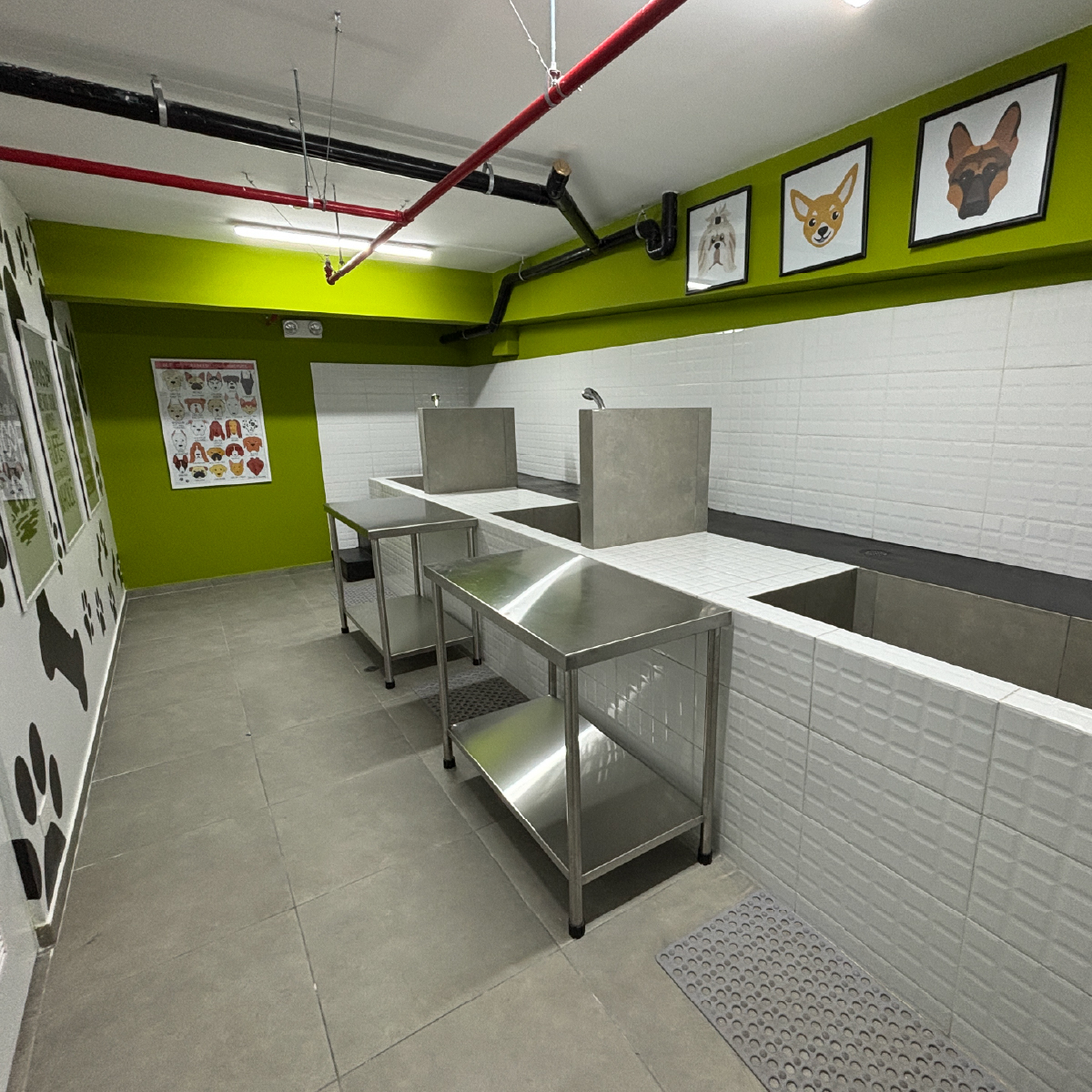 Pet Zone
